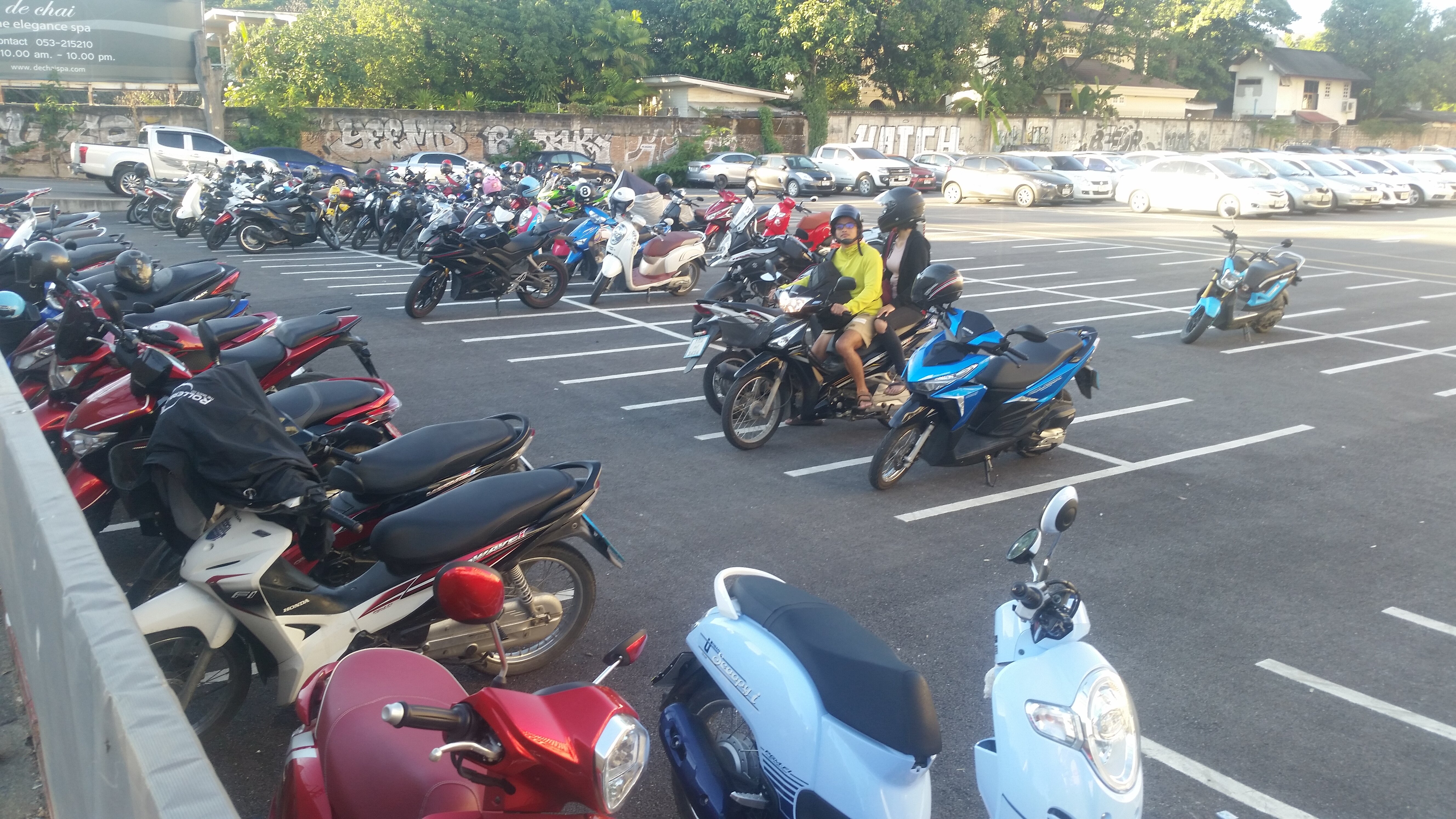 There are so many mopeds here that they have special parking spaces for them.